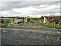 S6651 : Gates and Laneway by kevin higgins