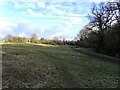 The Memorial Field in Kennington