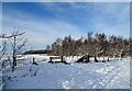 NZ1049 : Snow covered gateway beside the line by Robert Graham