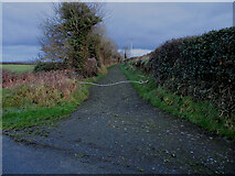 S6751 : Lane and Hedgerows by kevin higgins