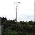 Line spur pole near Llanddewi Rhydderch, Monmouthshire