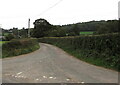 Hedge-lined minor road north from Llanddewi Rhydderch, Monmouthshire