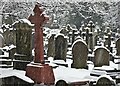 Ecclesall churchyard in January snow