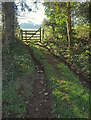 SX8970 : Track and gate, Haccombe by Derek Harper