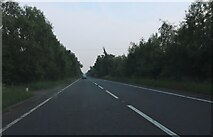 TF0546 : The A15 Sleaford Bypass by David Howard