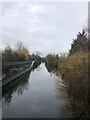 Bridgewater Canal