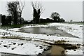 North Green: Snow covered field in Lonely Road