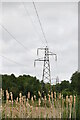 Pylon in the Bourne Valley