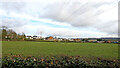 Pasture near Penn Common in Staffordshire