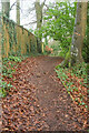 Path behind Kingsgate Close