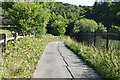 Bridleway to Bedgebury Forest