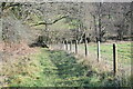 Path toward footbridge on the River Blackwater