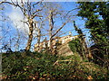 Looking up from the steps at The Slade