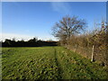 Footpath to Coddington