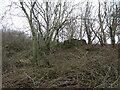 The remains of an old mine near Whitley Grange