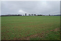 Farmland north of Thame Lane