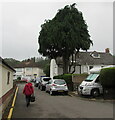 Walking along Mill Street Close, Usk, Monmouthshire