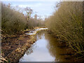 Hundred Foot Drain