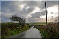 West Down : Country Lane