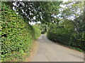 Hedge-lined side road in Llanarth, Monmouthshire