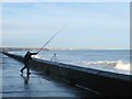 Fisherman Casts Line into the Sea