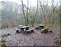 NZ2185 : Picnic Tables by the River Wansbeck by Les Hull