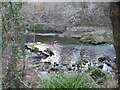 Ruined Weir on the River Wansbeck