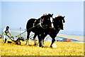 Great Dorset Steam Fair, Tarrant Hinton 1989