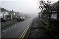 Into the fog, Larch Grove, Malpas, Newport