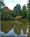 Birkenhead Park, Birkenhead (4)