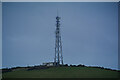 Ilfracombe : Mast