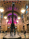NS5666 : Dippy the Diplodocus at Kelvingrove Museum and Art Gallery by Alison Nugent