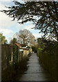 Path to Upper Cockington Lane