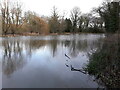 Haughton Pool, the eastern end near the sluice