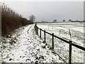 Snowy bridleway to Stollage Lodge