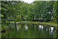 Canal by All Saints Park at Winson Green, Birmingham