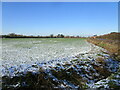 Snowy field near Hougham