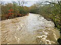 River Irwell at Summerseat