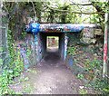 Tunnel under DWR embankment