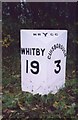 Old Milestone, on the A171, Birk Brow Road (bottom)