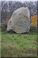 Mabley Green Boulder