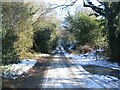 The lane from Canley Ford