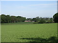 Looking west to Careston