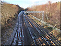 Railway line near Hamilton West