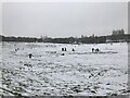 Socially distanced snow people on the cricket field