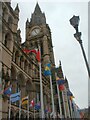 SJ8398 : Commonwealth Games Flags by Gerald England