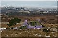 NC7505 : Lime Green and Purple House at Achork, Rogart, Sutherland by Andrew Tryon