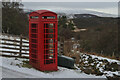 Disused Telephone Box at Rogart, Sutherland