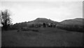 Ty Isaf Chambered Long Cairn