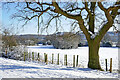 SO9095 : Snow covered pasture near Colton Hills in Staffordshire by Roger  D Kidd